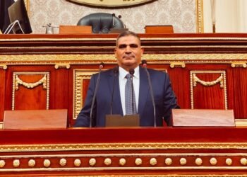 برلماني: الحكومة حريصة علي توفير قيمة دولارية للإفراج الجمركي عن الأعلاف