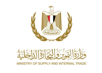 التموين: نستهدف استصلاح 120 ألف فدان لزراعة قصب السكر