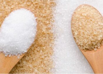 التموين: توريد 100 ألف طن قصب من المزارعين بمصانع السكر في الصعيد