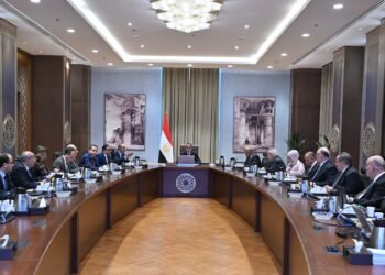 مجلس الوزراء يوافق على مشروع إضافة 450 ميجا وات لقدرة محطة أبيس للمحولات