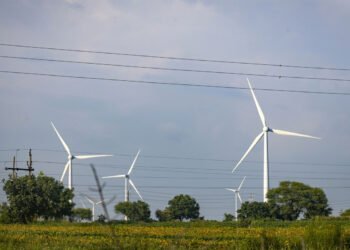 صعود أسهم الطاقة المتجددة 5800% يثير القلق في الهند