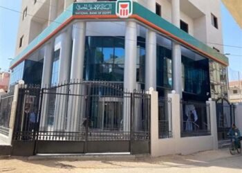 البنك الأهلي المصري يطلق بطاقة فيزا بلاتينم للخصم المباشر بالدولار الأمريكي
