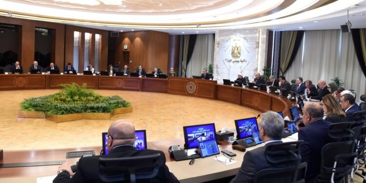 الحكومة تحدد 12 ألف جنيه سعر ضمان لتوريد القطن طويل التيلة