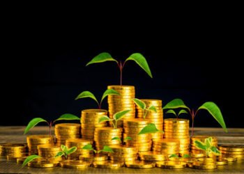 36.5% نموا في رصيد القروض الخضراء بالصين خلال 2023