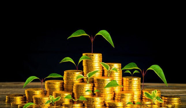 36.5% نموا في رصيد القروض الخضراء بالصين خلال 2023