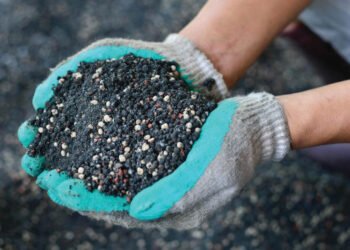 محمود عصمت: 8 مليون طن أسمدة نيتروجينية إجمالي الإنتاج في 2023