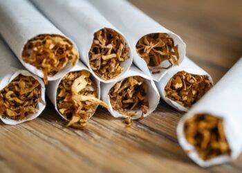 السيطرة على التجارة غير المشروعة الطريق الأول لمكافحة التدخين وتلوث البيئة