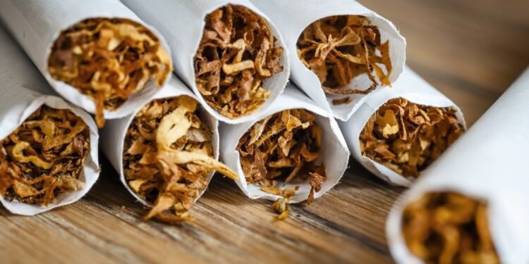 السيطرة على التجارة غير المشروعة الطريق الأول لمكافحة التدخين وتلوث البيئة