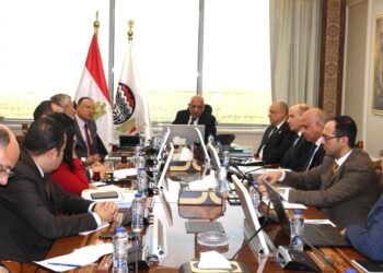 محمود عصمت: القطاع الخاص شريك رئيسي في تنفيذ مشروعات التطوير والتحديث