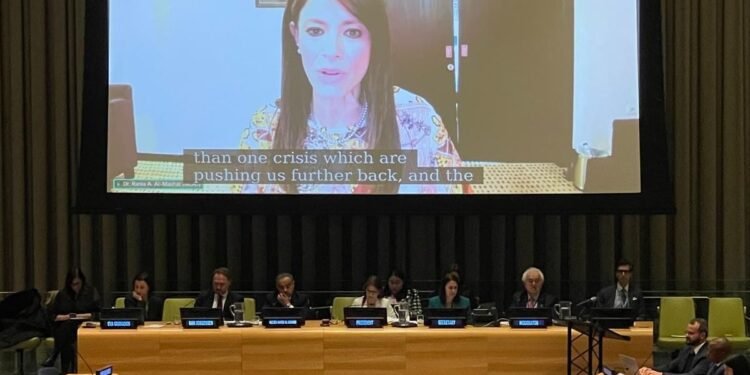 وزيرة التعاون الدولي:أقل من 10% فقط من التمويل المناخي يذهب للدول النامية