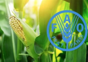 فاو: مؤشر أسعار الغذاء يرتفع من أدنى مستوياته في 3 سنوات