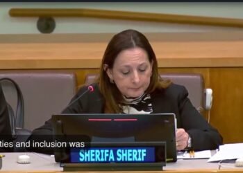 مدير معهد الحوكمة والتنمية المستدامة تشارك في الاجتماعات السنوية للجنة لـ CEPA  بنيويورك