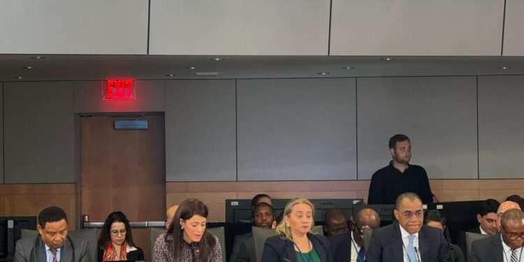 وزيرة التعاون الدولي تُطالب المجتع الدولي بالتوسع في أدوات تمويل جديدة