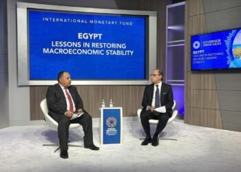 وزير المالية : نتطلع لاستحواذ القطاع الخاص على أكثر من 70% من حجم الاقتصاد المصرى