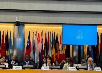 وزيرة التعاون الدولي: تمكين القطاع الخاص يساعد الدول على جذب التمويل المناخي