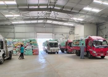 البنك الزراعي يبدأ استلام محصول القمح من المزارعين