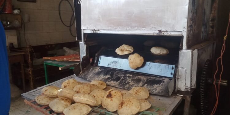 التموين: بدء إنتاج الخبز السياحي والفينو طبقاً لتوجيهات الوزارة بخفض الأسعار