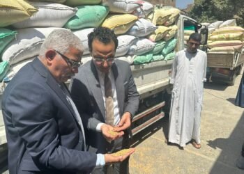 التموين: توريد 900 الف طن قمح محلي حتي الآن