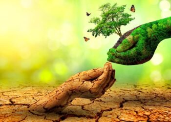 الإنتاج الأخضر