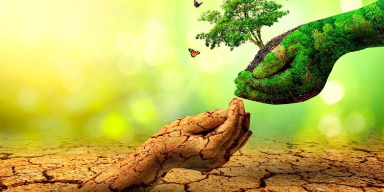 الإنتاج الأخضر