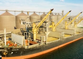 روسيا تحتجز سفينتي قمح مصريتين بسبب نزاع تجاري