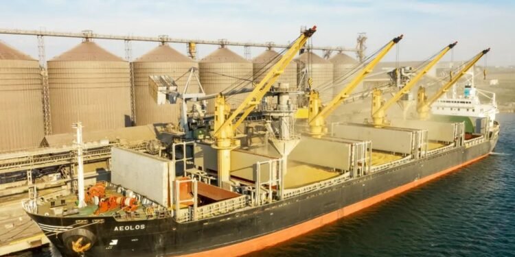 روسيا تحتجز سفينتي قمح مصريتين بسبب نزاع تجاري