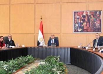 مى عبد الحميد: تنفيذ وطرح مليون وحدة سكنية بمحور منخفضى الدخل