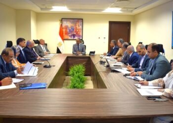 الإسكان: تنفيذ 167 ألف وصلة صرف صحي لخدمة 124 منطقة ريفية