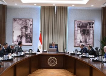 مدبولي: الحكومة ستعمل مع القطاع الخاص لتذليل أي عقبة تواجه قطاع الدواء