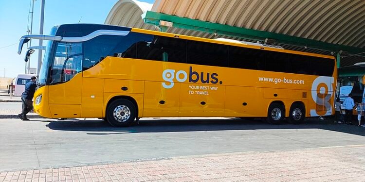 سامح عطا الله: جو هولدينج تمتلك أسطول يفوق 500 سيارة حتى الآن