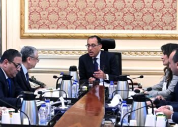 رئيس الوزراء يناقش مع وزير الكهرباء مشروعات فى قطاع الطاقة المتجددة