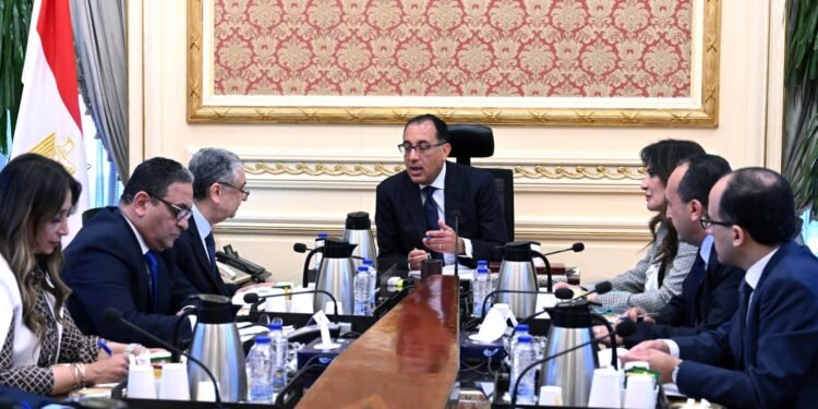 رئيس الوزراء يناقش مع وزير الكهرباء مشروعات فى قطاع الطاقة المتجددة