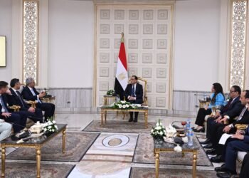 رئيس الوزراء: يمكن التعاون مع شنايدر إليكتريك في تقليل الفاقد من الكهرباء