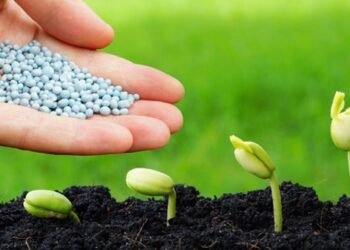 أسهم الأسمدة تتراجع في مصر بعد قطع الغاز عن مصانع