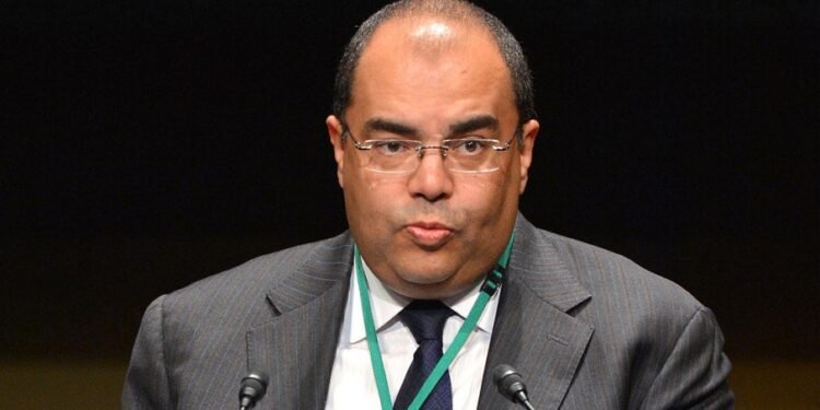 مدير صندوق النقد الدولي لـ”استدامة”: شركات مصرية تقدمت بطلبات تمويل خضراء لصندوق المناخ