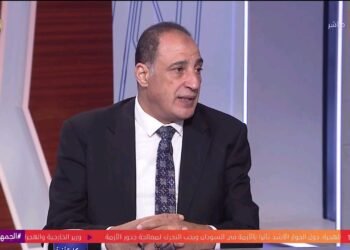 أيمن هيبة لـ”استدامة”: إنشاء محطات منزلية للطاقة الشمسية تحتاج لتعديل بعض التشريعات