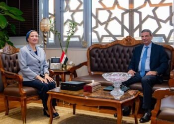 البيئة والزراعة يناقشان إجراءات مواجهة ظاهرة السحابة السوداء قبل بدء موسم حصاد الأرز