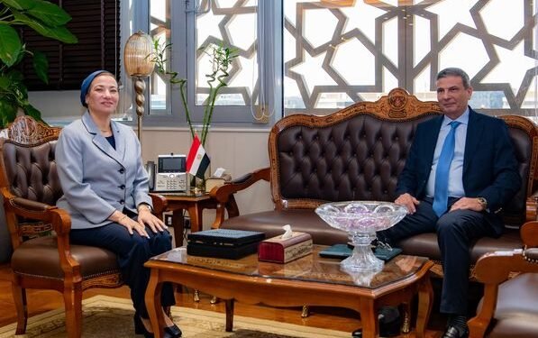 البيئة والزراعة يناقشان إجراءات مواجهة ظاهرة السحابة السوداء قبل بدء موسم حصاد الأرز