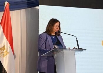 مي عبد الحميد:  48% من العاملين بالقطاع الخاص مستفدون من المليون وحدة سكنية