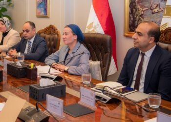 البيئة: وضع خطة متكاملة للتشجير داخل محافظة القاهرة وعدم قطع الأشجار دون الرجوع إليها