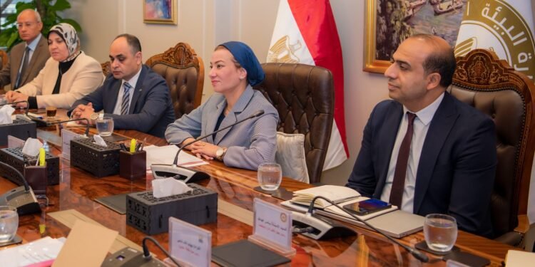 البيئة: وضع خطة متكاملة للتشجير داخل محافظة القاهرة وعدم قطع الأشجار دون الرجوع إليها