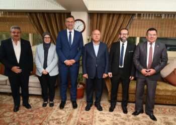  ليوني مصر تخطط لإنشاء مصنع لإنتاج الضفائر الكهربائية على مساحة 11 ألف متر 