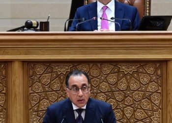 الحكومة تستهدف زيادة الاستثمارات الأجنبية المباشرة إلى 14% سنويا