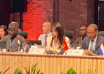 التخطيط: 19% نسبة تمويلات الشركاء الدوليين لتنفيذ مشروعات الإدارة المستدامة