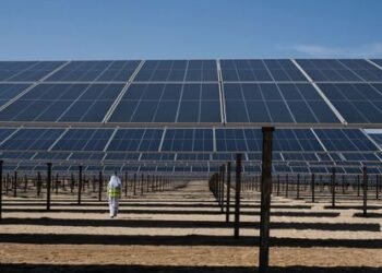 “مصدر” الإماراتية تعتزم طرح سندات خضراء للتوسع بالطاقة المتجددة