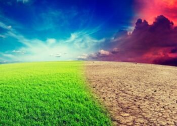 البرازيل تعلن انضمامها إلى الإطار العالمي للتمويل المناخي