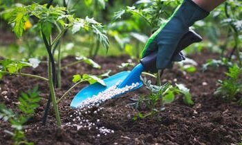 ارتباك في سوق الأسمدة بعد تراجع الإنتاج وقفزات الأسعار