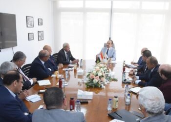 وزير قطاع الأعمال: العديد من الفرص المتاحة للشراكة مع القطاع الخاص في صناعة السيارات