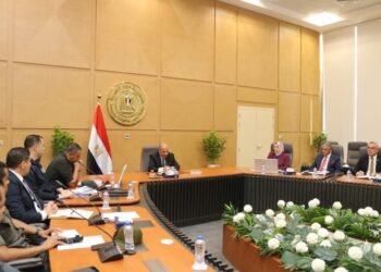 الإنتهاء من تنفيذ مشروع الربط الكهربائي المصرى السعودى مطلع الصيف المقبل