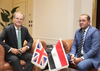 وزير المالية : الوضع الاقتصادي المصري مستقرا ونستهدف جذب استثمارات خاصة